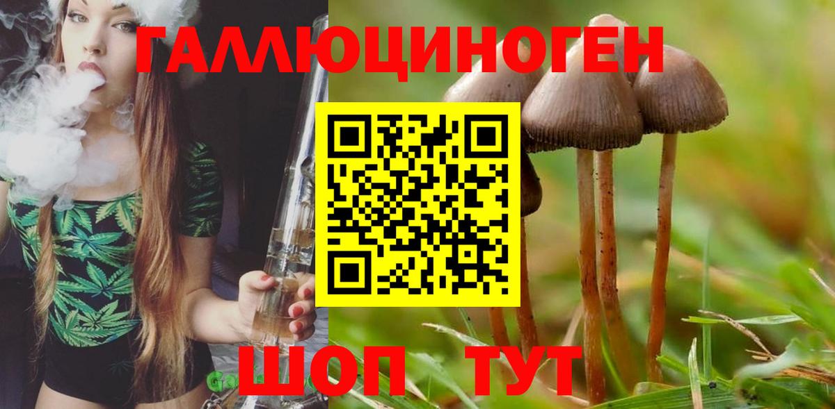 Тула  Псилоцибиновые грибы мицелий  Псилоцибиновые грибы GOLDEN TEACHER  Вход с VPN 