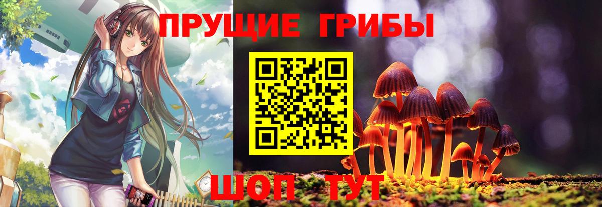 Псилоцибиновые грибы Psilocybe Тула
